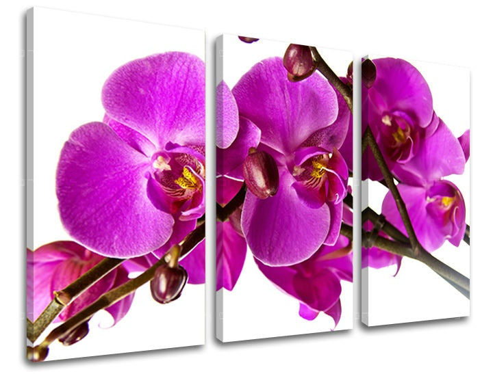 Pittura murale in 3 parti FIORI