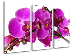 Pittura murale in 3 parti FIORI