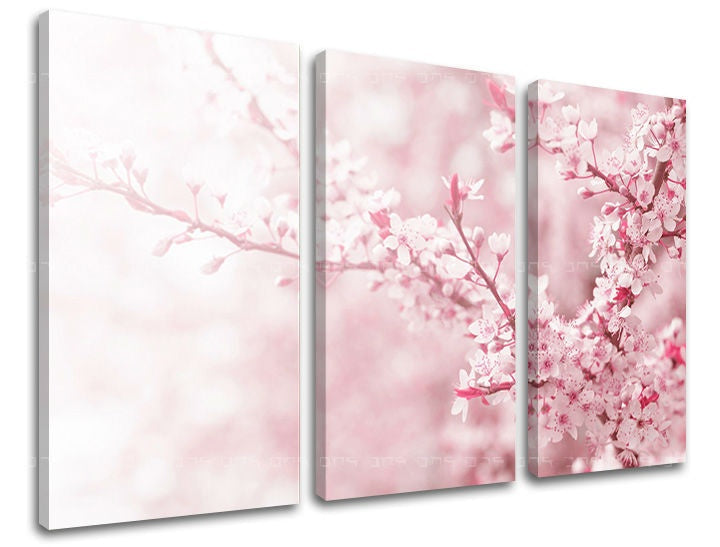 Pittura murale in 3 parti FIORI