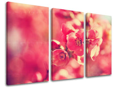 Pittura murale in 3 parti FIORI