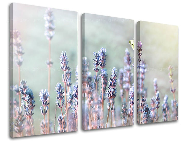 Pittura murale in 3 parti FIORI