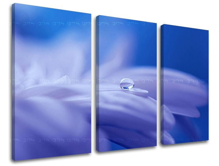 Pittura murale in 3 parti FIORI