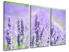 Pittura murale in 3 parti FIORI