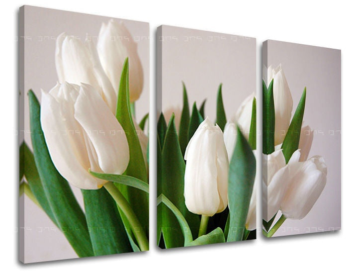 Pittura murale in 3 parti FIORI