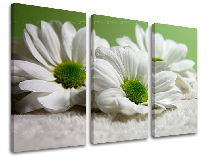 Pittura murale in 3 parti FIORI