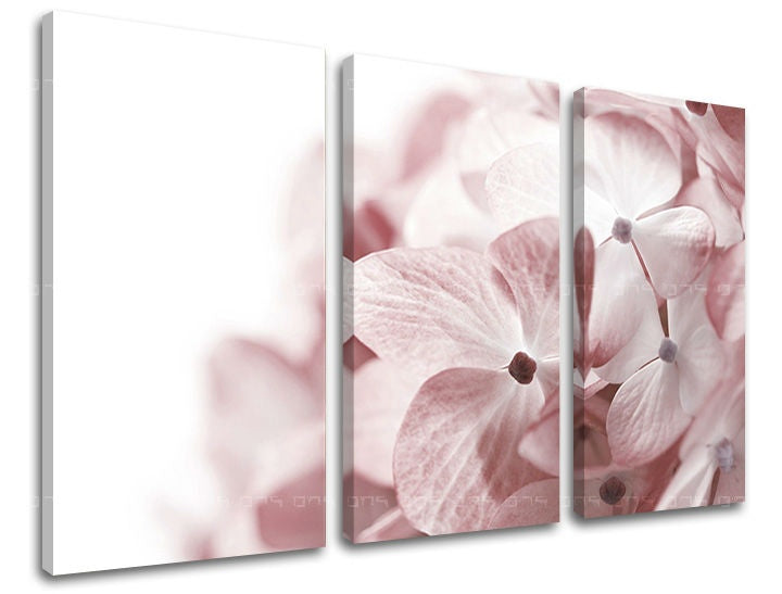 Pittura murale in 3 parti FIORI