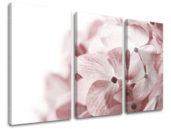 Pittura murale in 3 parti FIORI