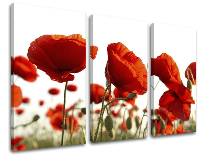 Pittura murale in 3 parti FIORI
