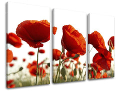 Pittura murale in 3 parti FIORI