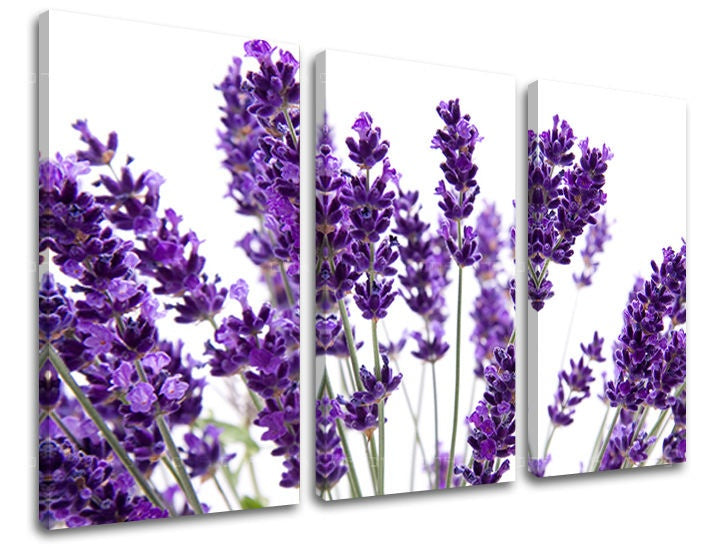 Pittura murale in 3 parti FIORI