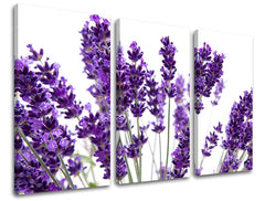 Pittura murale in 3 parti FIORI