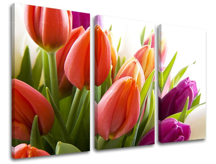 Pittura murale in 3 parti FIORI