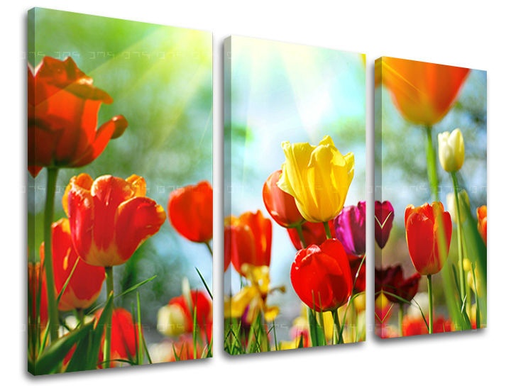 Pittura murale in 3 parti FIORI