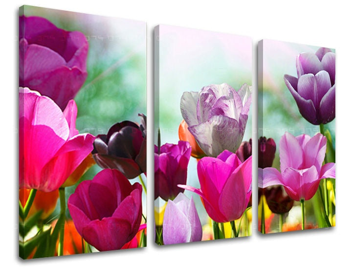 Pittura murale in 3 parti FIORI