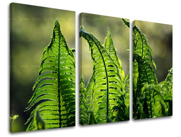 Pittura murale in 3 parti RASTLINY