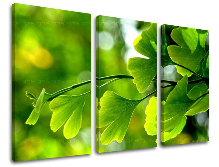 Pittura murale in 3 parti RASTLINY