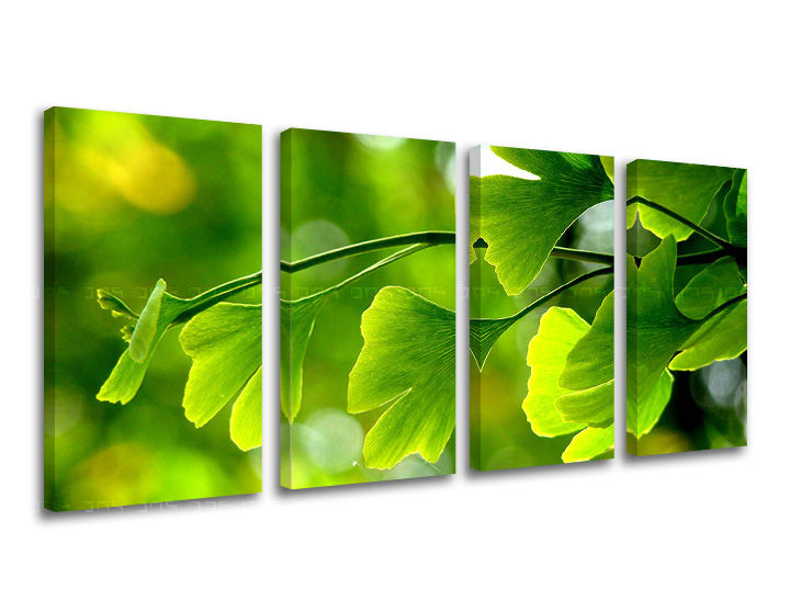 Pittura murale in 4 parti RASTLINY