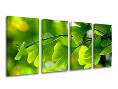 Pittura murale in 4 parti RASTLINY