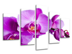 Pittura murale in 5 parti FIORI