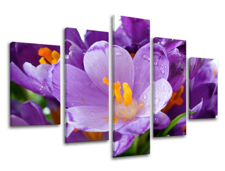 Pittura murale in 5 parti FIORI
