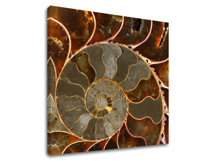 Pittura murale ISPIRAZIONE