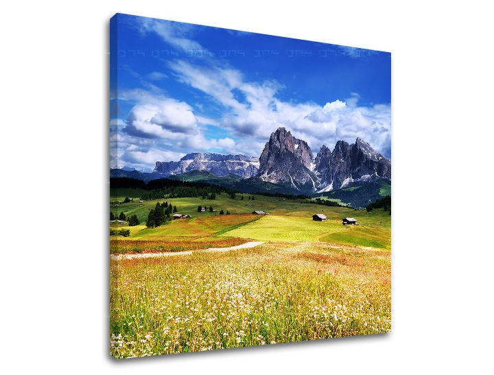 Pittura murale LAND