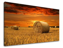Pittura murale LAND