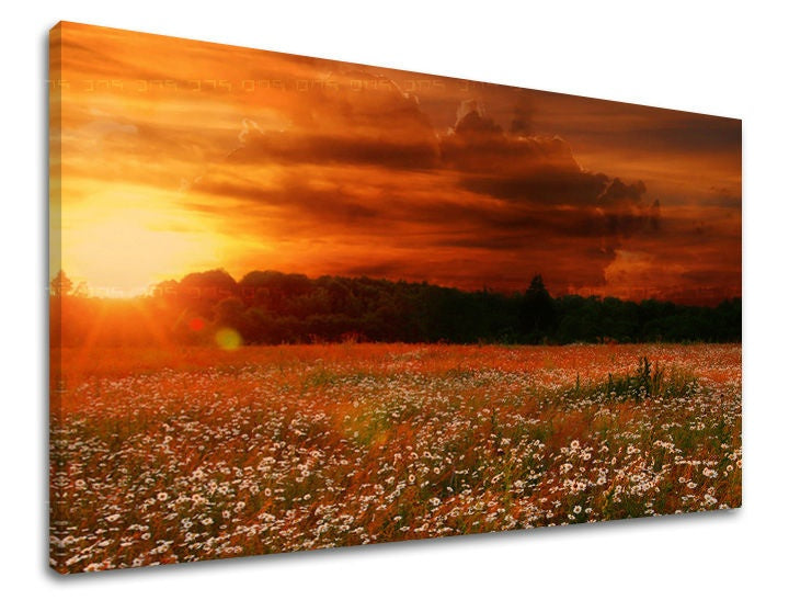 Pittura murale LANDSCAPE
