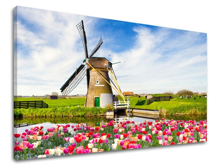 Pittura murale MESTO