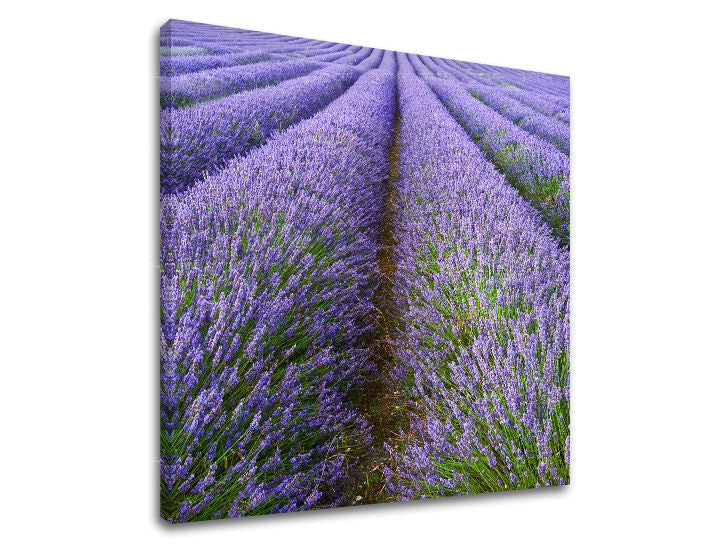 Pittura murale PAESAGGIO