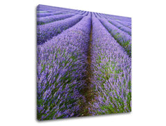 Pittura murale PAESAGGIO
