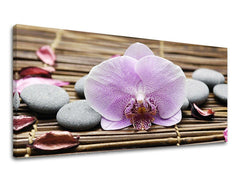 Pittura murale PANORAMA FENG SHUI
