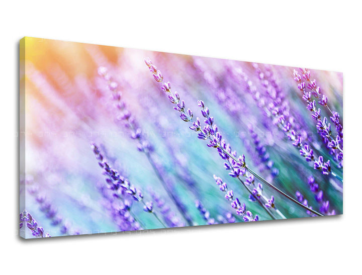 Pittura murale PANORAMA FLOWERS