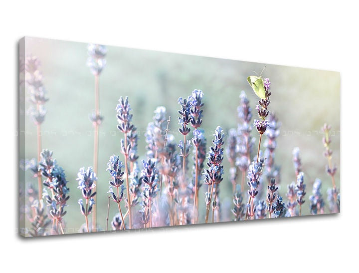 Pittura murale PANORAMA FLOWERS