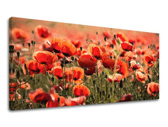 Pittura murale PANORAMA FLOWERS