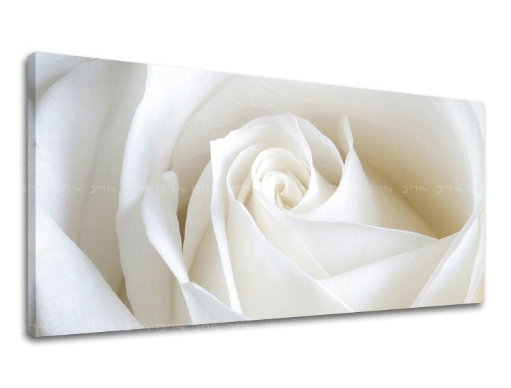 Pittura murale Panorama FLOWERS