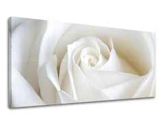 Pittura murale Panorama FLOWERS