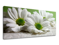 Pittura murale Panorama FLOWERS