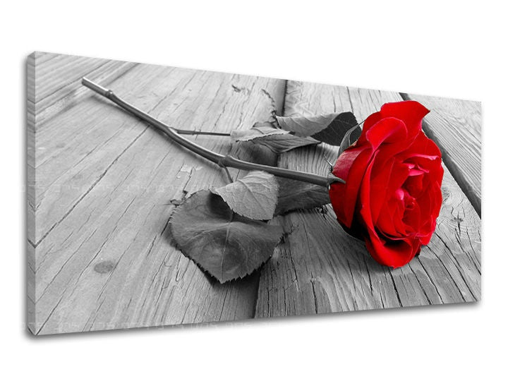 Pittura murale Panorama FLOWERS