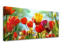 Pittura murale Panorama FLOWERS