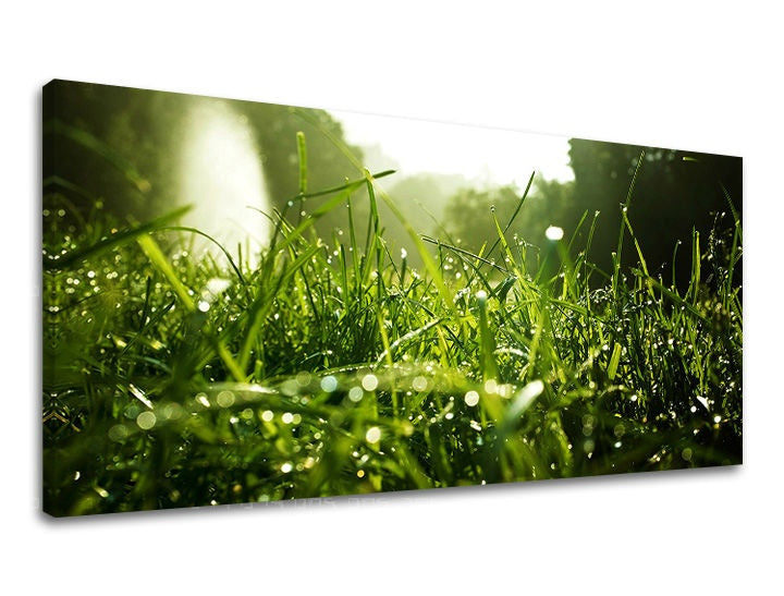 Pittura murale PANORAMA PLANTS
