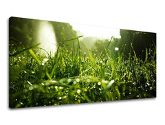 Pittura murale PANORAMA PLANTS