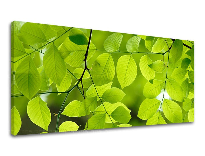 Pittura murale PANORAMA PLANTS