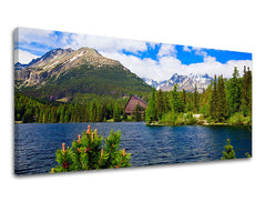 Pittura murale PANORAMA SLOVACCHIA - immagine 2