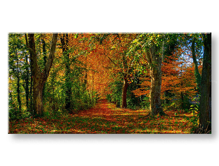 Pittura murale PANORAMA TREES