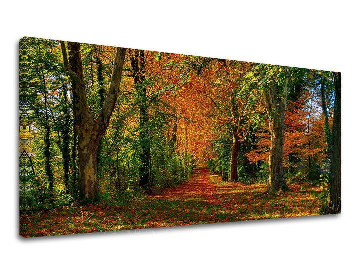 Pittura murale PANORAMA TREES - immagine 2