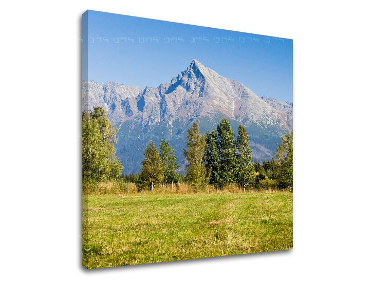 Pittura murale SLOVACCHIA