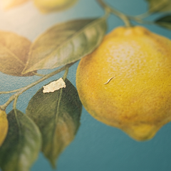 Quadro con motivo di limoni in un atelier artistico – Papilora Premium Art.